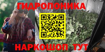 а пвп мука Ачхой-Мартан